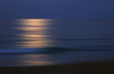 Moonlit